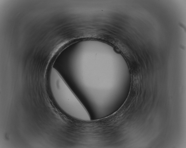 X0000093370628200710111327