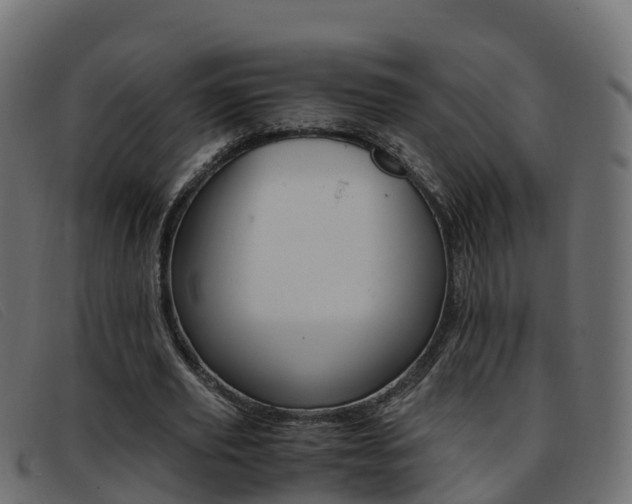 X0000093370629200710111327