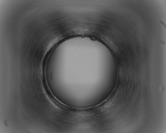 X0000093370630200710111327