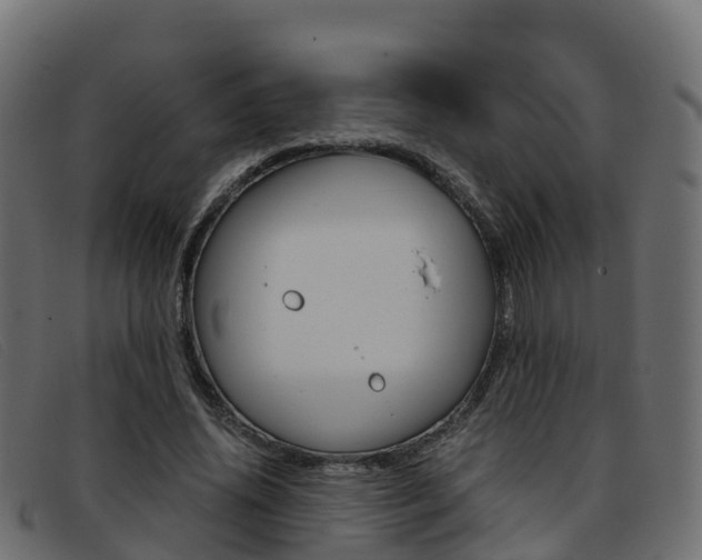 X0000093370636200710111327