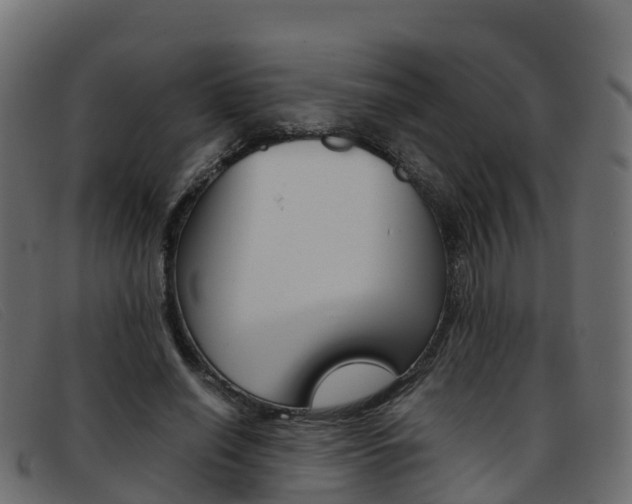X0000093370638200710111327