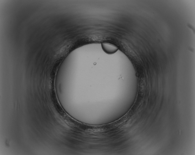 X0000093370639200710111327