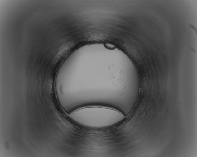 X0000093370640200710111327