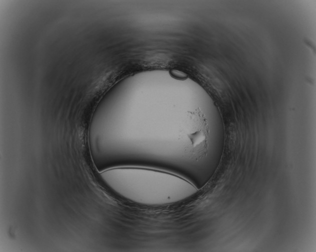 X0000093370641200710111327