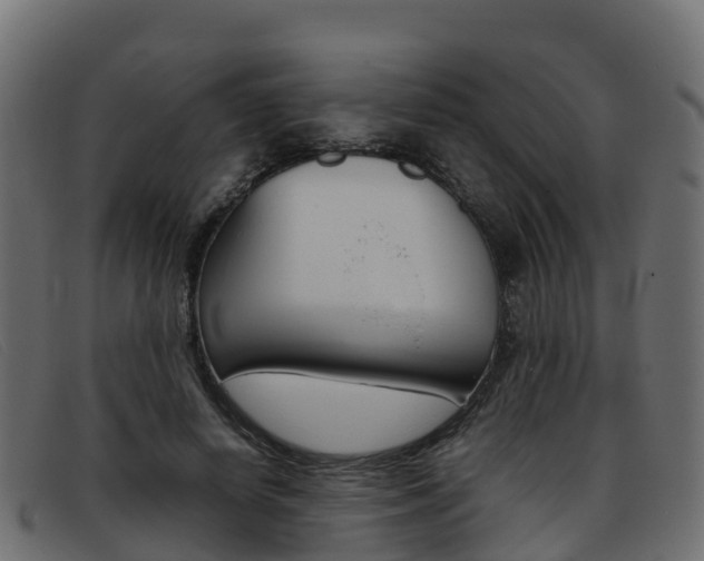 X0000093370642200710111327
