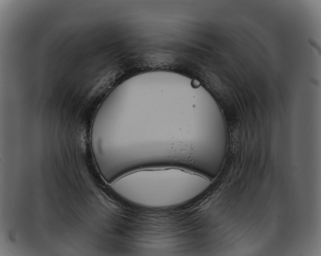 X0000093370644200710111327