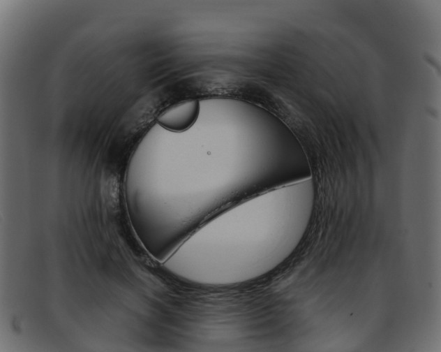 X0000093370646200710111327
