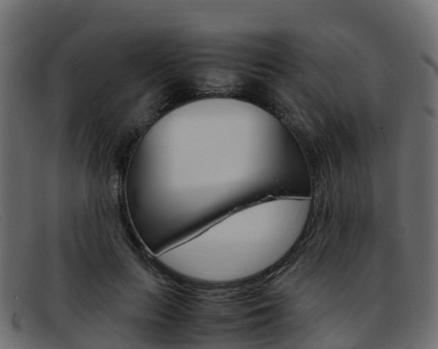 X0000093370647200710111327
