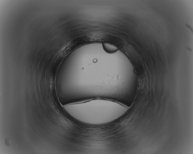 X0000093370648200710111327