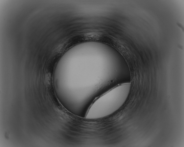 X0000093370649200710111327