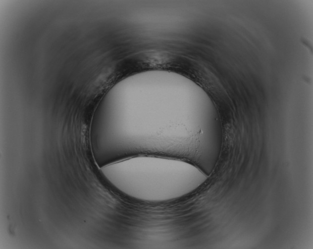 X0000093370650200710111327