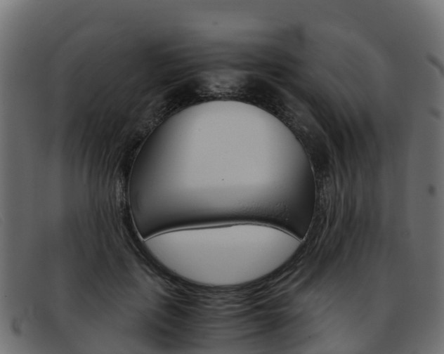 X0000093370651200710111327