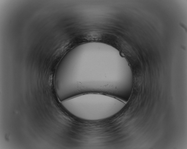 X0000093370652200710111327