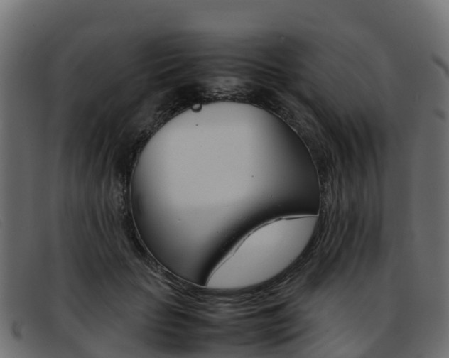 X0000093370653200710111327