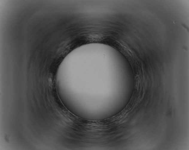 X0000093370655200710111327