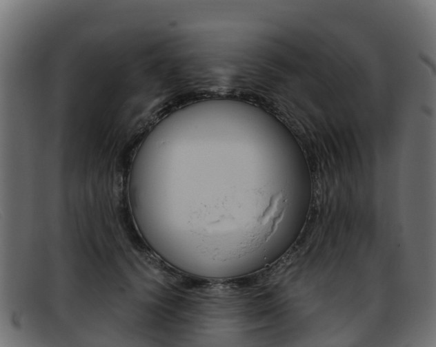 X0000093370656200710111327