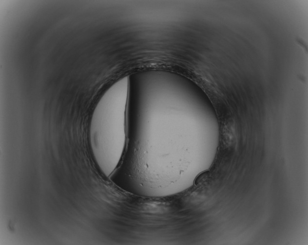 X0000093370657200710111327