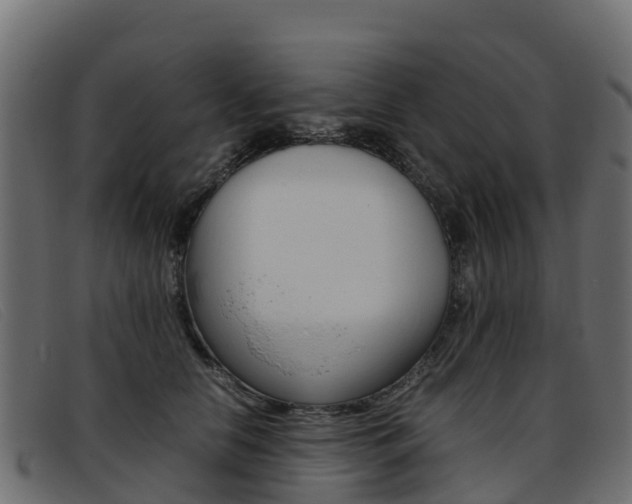 X0000093370658200710111327