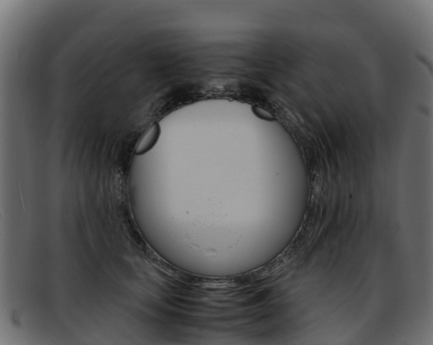 X0000093370659200710111327