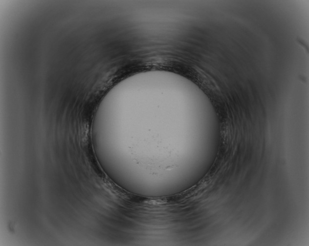 X0000093370660200710111327