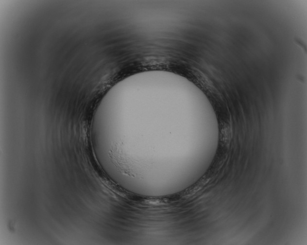 X0000093370662200710111327