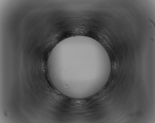 X0000093370663200710111327