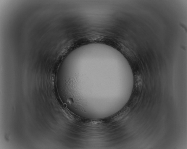 X0000093370664200710111327