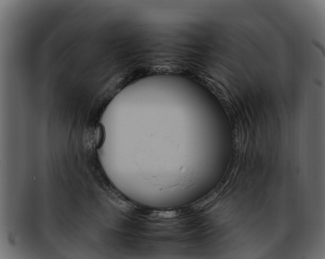 X0000093370665200710111328