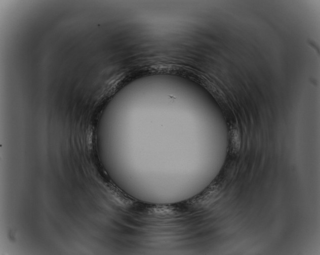 X0000093370668200710111328