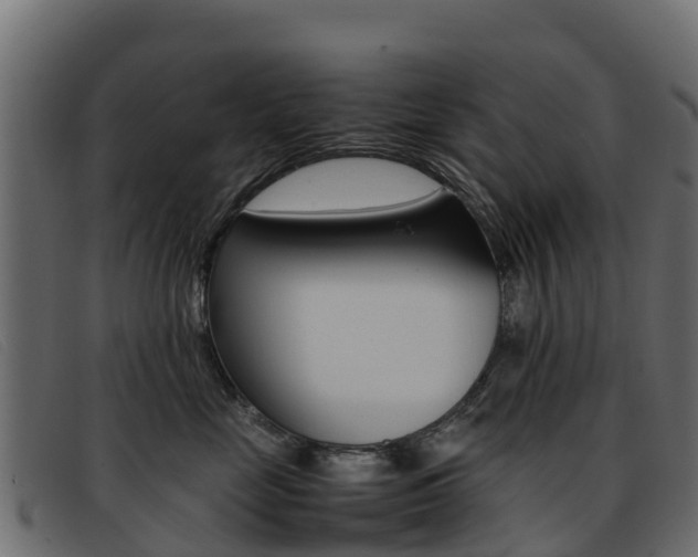 X0000093370669200710111328
