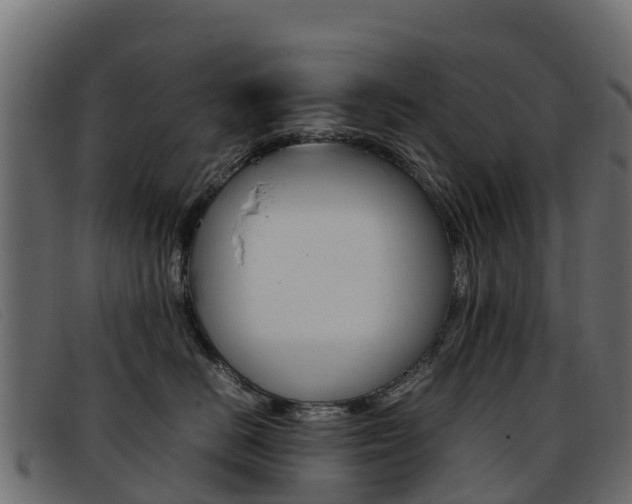 X0000093370670200710111328