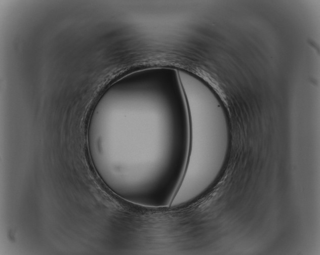 X0000093370673200710111327