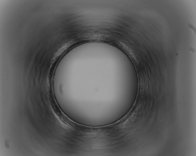 X0000093370674200710111327