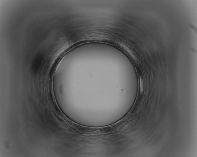X0000093370675200710111327