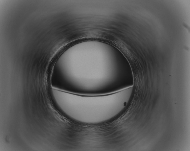 X0000093370676200710111327
