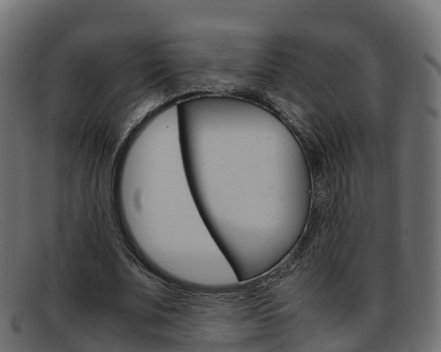 X0000093370679200710111327