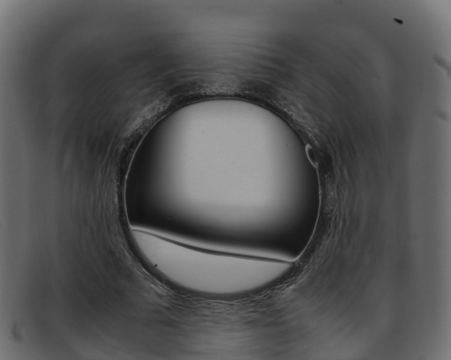 X0000093370681200710111327