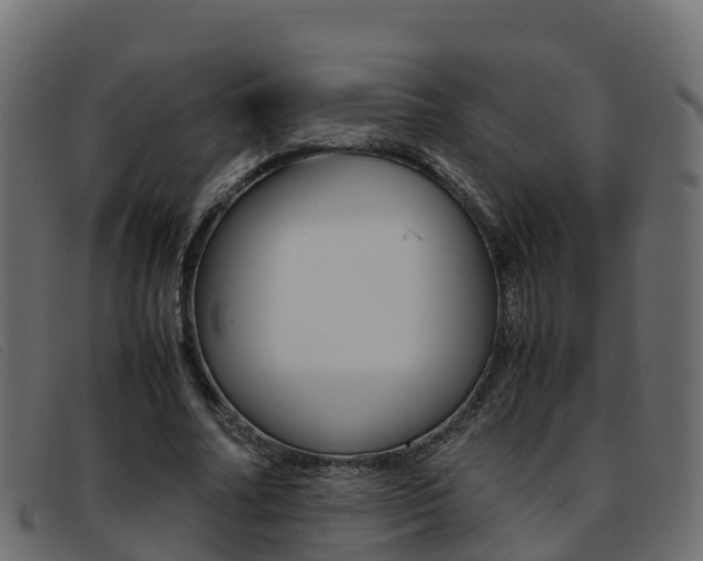 X0000093370682200710111327
