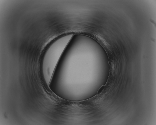 X0000093370684200710111327