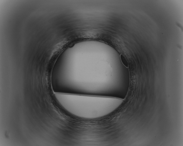 X0000093370688200710111327