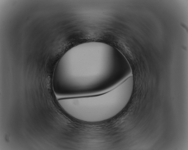 X0000093370689200710111327