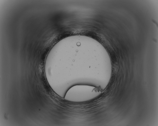 X0000093370691200710111327