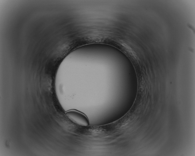 X0000093370693200710111327