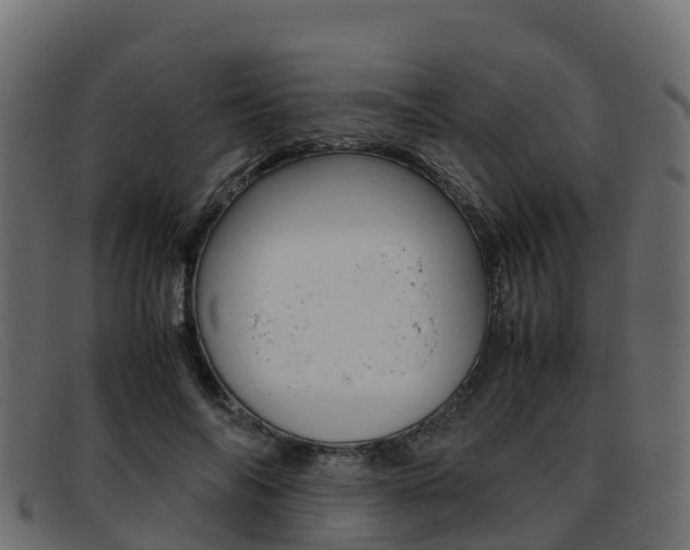X0000093370694200710111327