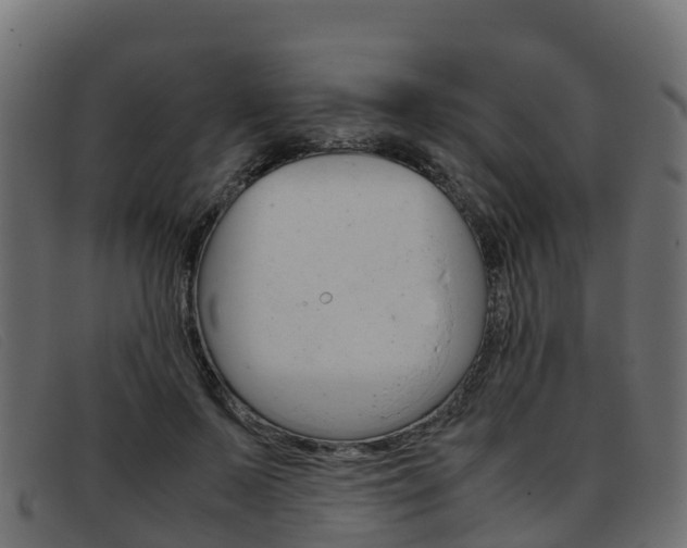 X0000093370695200710111327