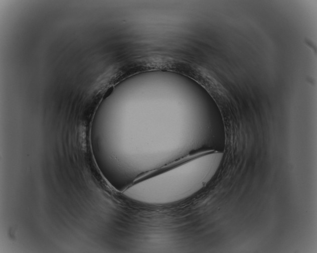 X0000093370696200710111327