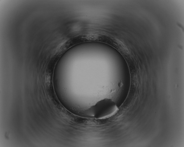 X0000093370697200710111327