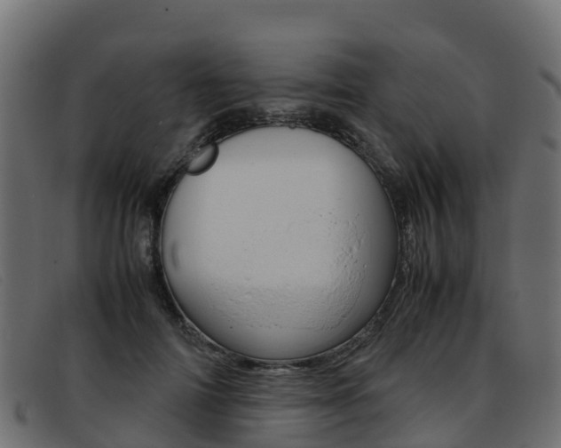X0000093370698200710111327