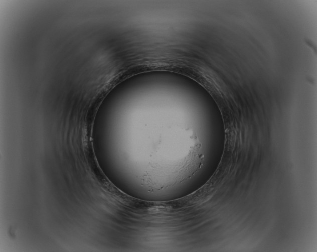 X0000093370700200710111327