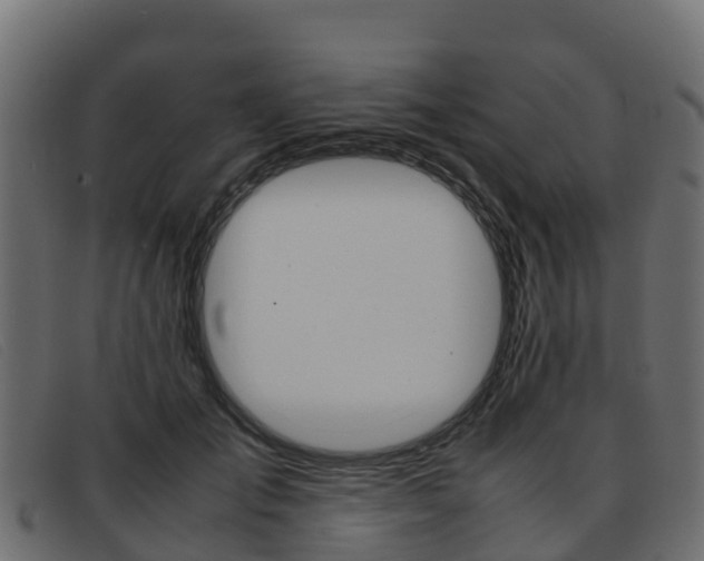 X0000093370701200710111327